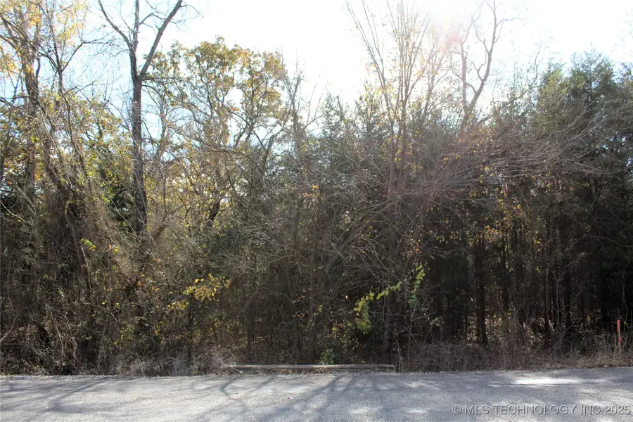 Red Lake Road, Southeast Bryan, OK 74726 - Image #2