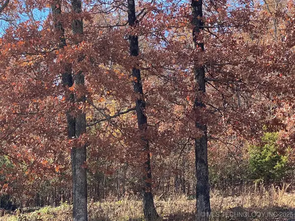 704 Woodlands Drive, Tahlequah, OK 74464