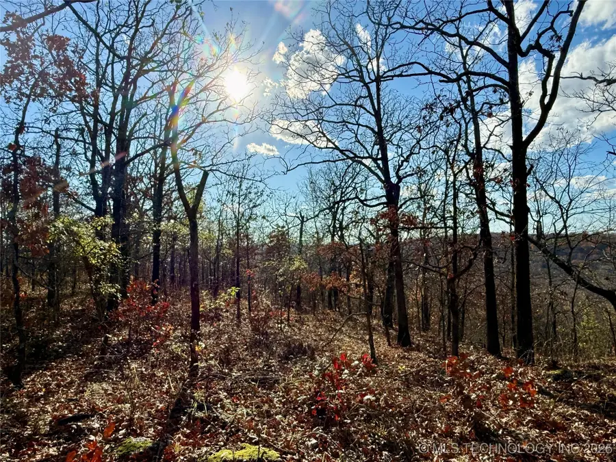 S 4547 Road, Vian, OK 74962 - Image #2