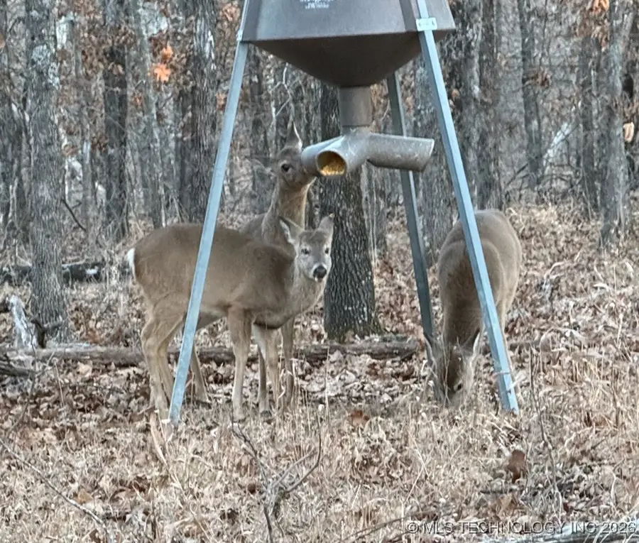 427640 E 290 Road, Chelsea, OK 74016 - Image #3