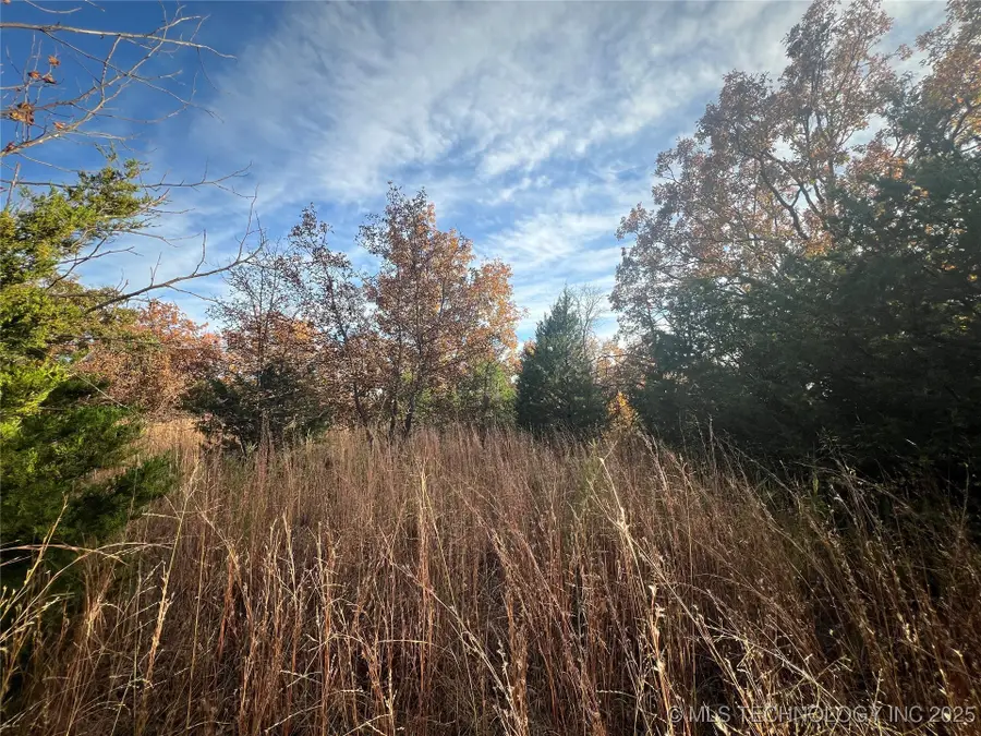 0029 Ruisdael Road, Sand Springs, OK 74063 - Image #3