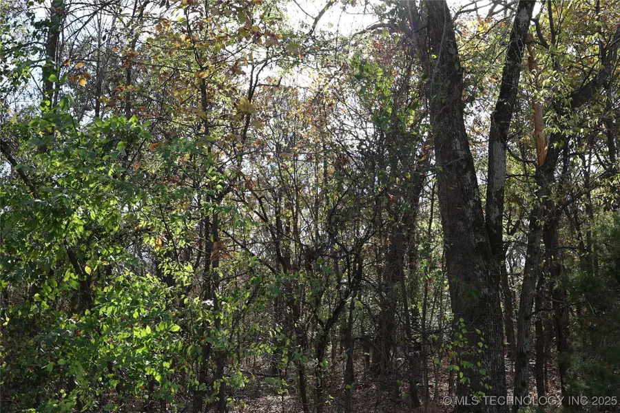 E 700 Road, Wagoner, OK 74467 - #3