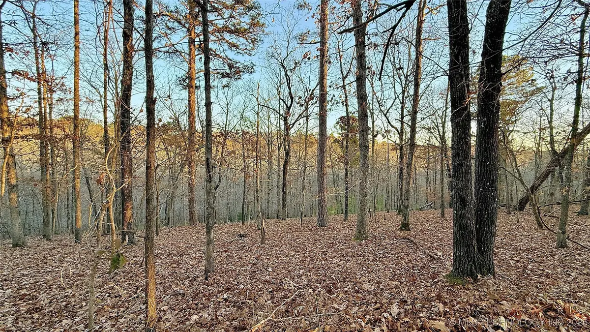 246 Red Fox Trail, Kansas, OK 74347 - #1