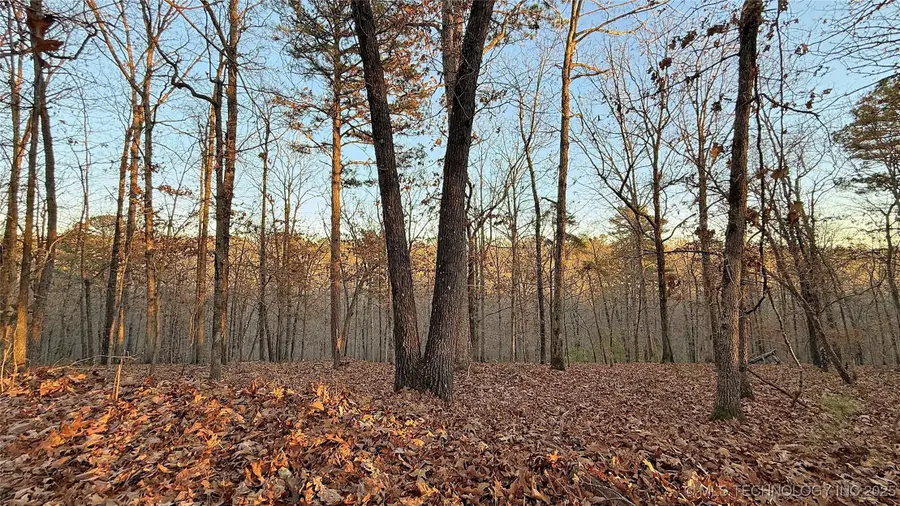 246 Red Fox Trail, Kansas, OK 74347 - #3