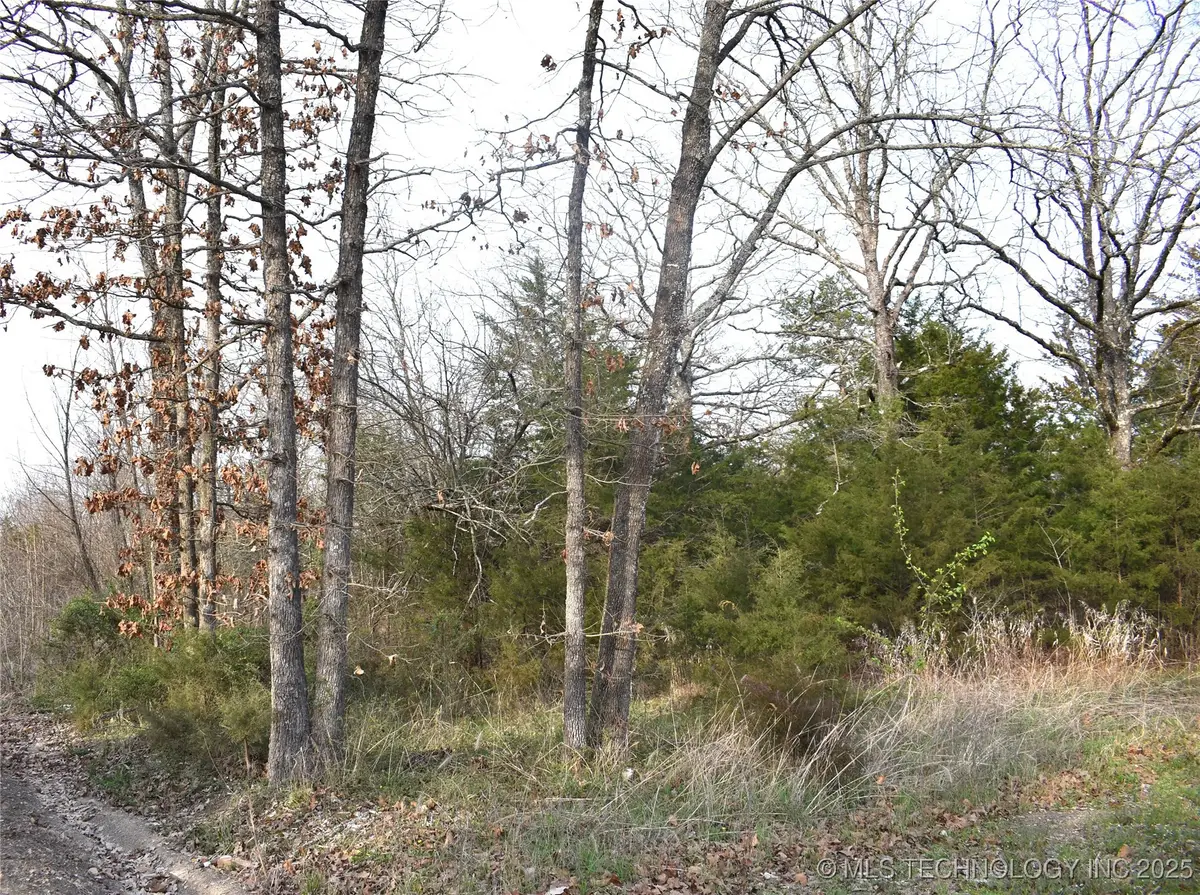 1 W Sweet Gum Drive, Rattan, OK 74562 - Image #1