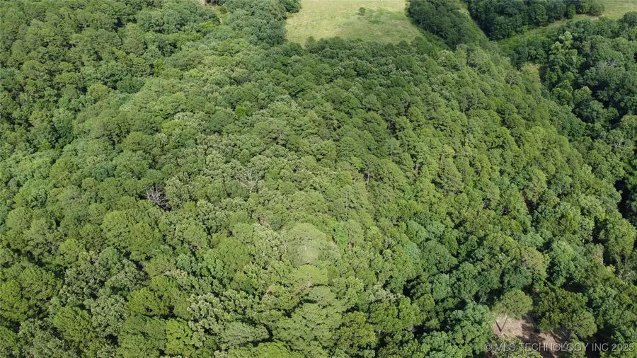 225 S 620 Road, Jay, OK 74346 - Image #2