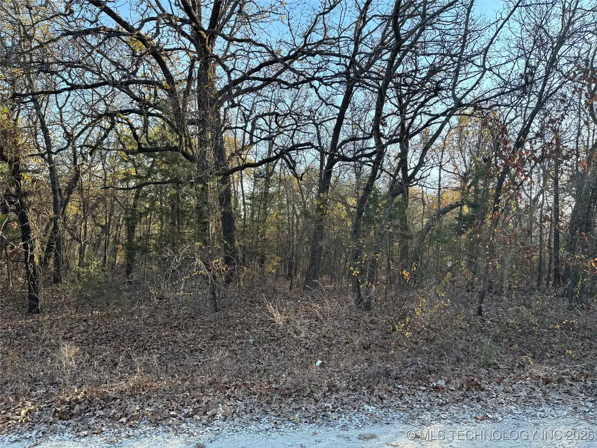 Spruce, Evans Mills, OK 73449 - #1