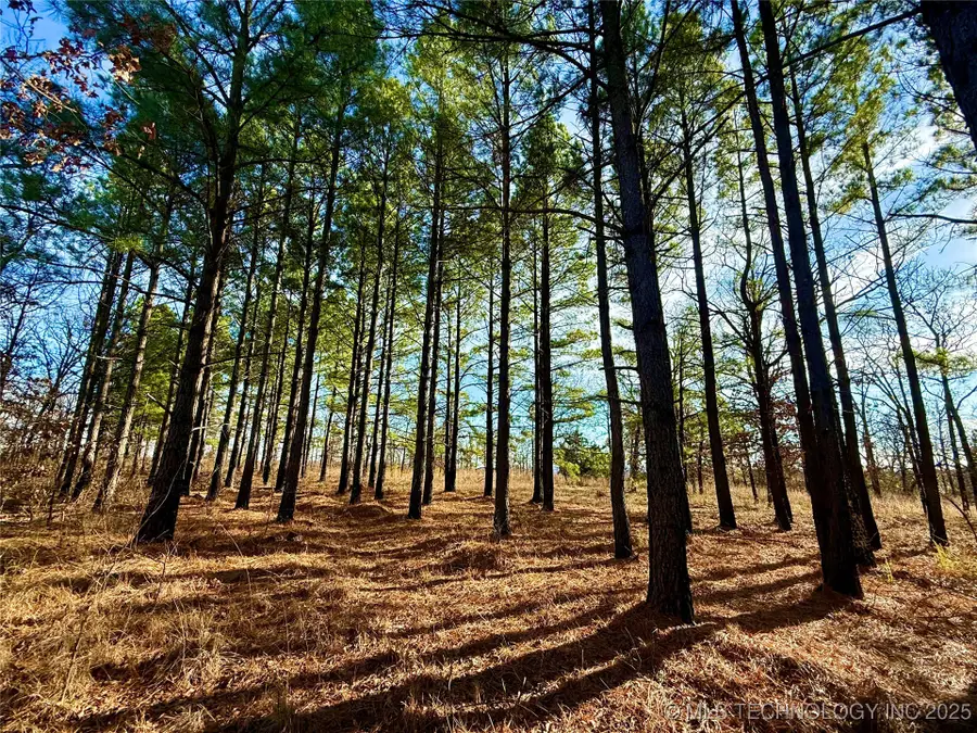 4540 Rd S, Vian, OK 74962 - Image #2