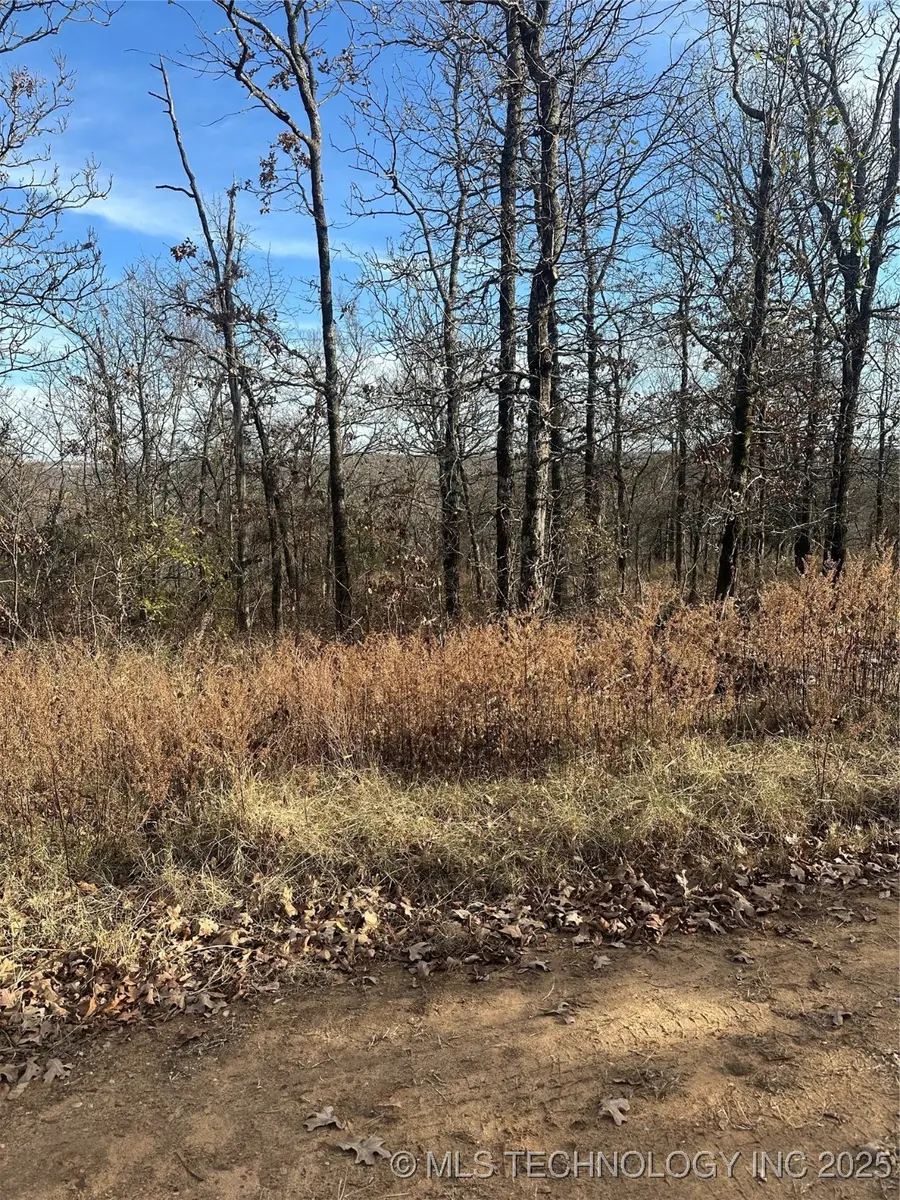 S 4557 Road, Vian, OK 74962 - #2