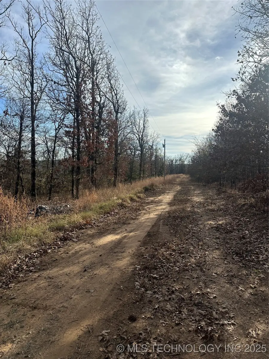 S 4557 Road, Vian, OK 74962 - #3