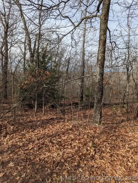 4550 Road, Vian, OK 74962 - Image #2