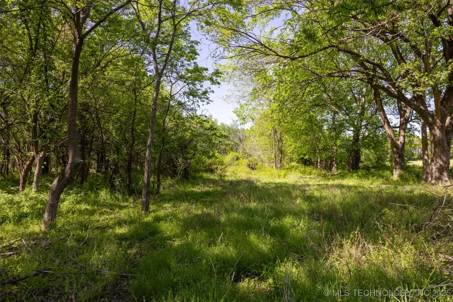 78 SE Lenapah Street, Skiatook, OK 74070 - Image #3