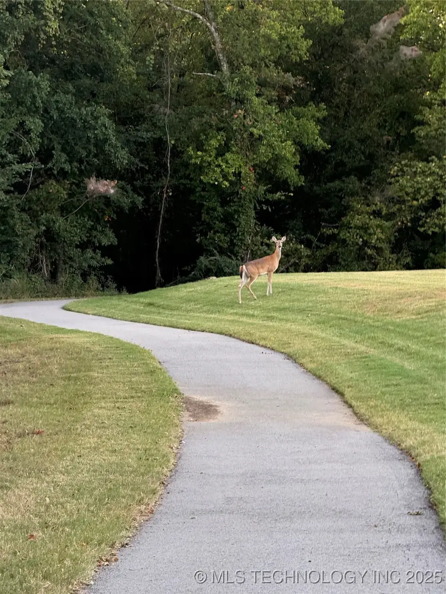 10303 N 99th East Avenue, Owasso, OK 74055 - Image #3