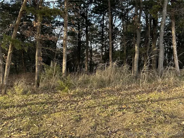 1 Sleepy Hollow Drive, Cleveland, OK 74020