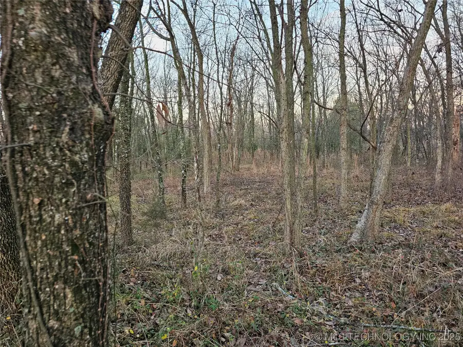 00003 N 4420 Road, Strang, OK 74367 - Image #2