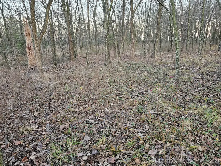 00003 N 4420 Road, Strang, OK 74367 - Image #3