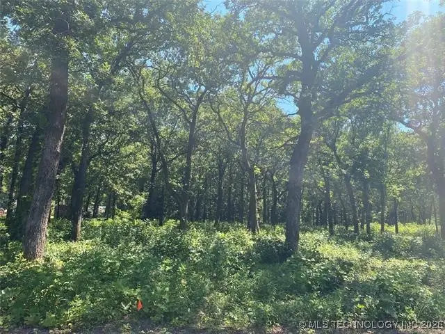 0 Majestic Circle, Kingston, OK 73439 - Image #2