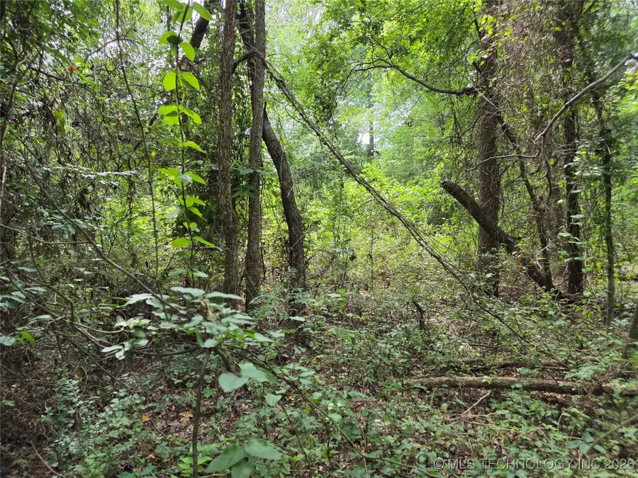 221st East Ave Avenue, Tullahassee, OK 74429 - Image #3