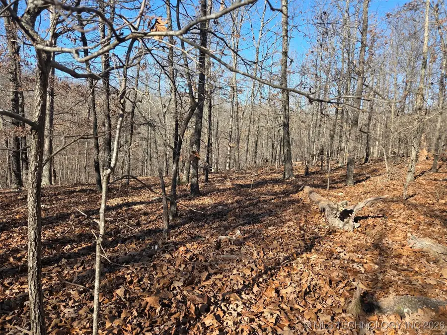 465030 Mcspadden Ridge, Proctor, OK 74457 - Image #3