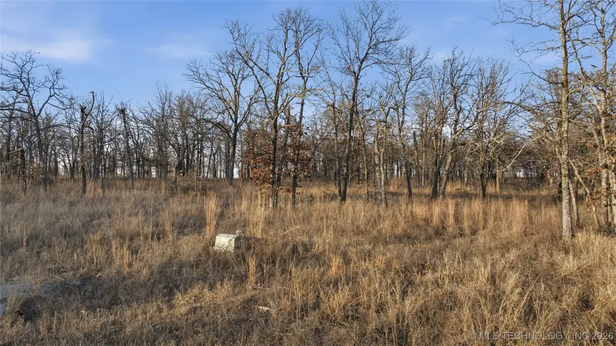 005 W 173rd Street, Skiatook, OK 74070 - Image #3