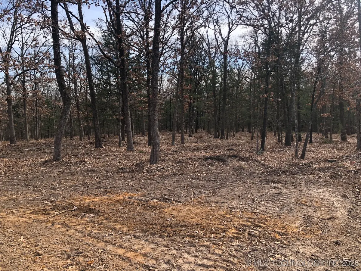 Palomino Lane, Kingston, OK 73439 - Image #1