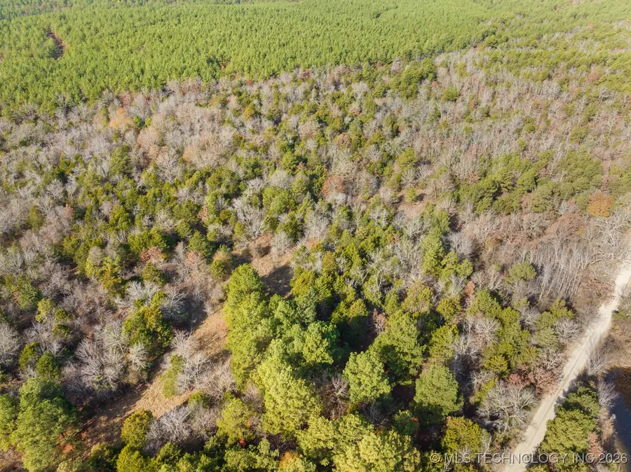 34 Tram Trail, Rattan, OK 74562 - Image #3