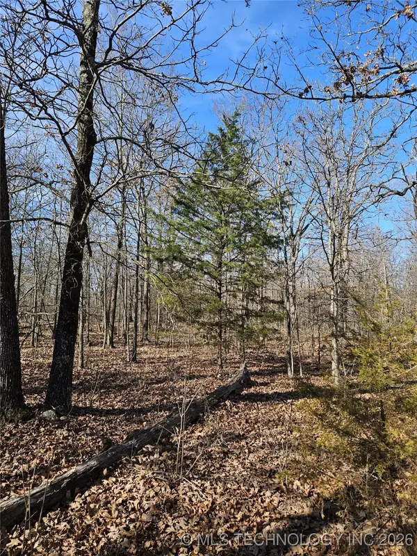 54601 E 233 Road, Afton, OK 74331