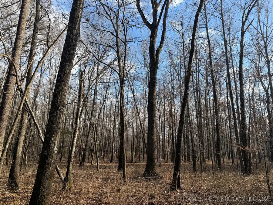 2 Pine Spur, Clayton, OK 74536 - Image #3