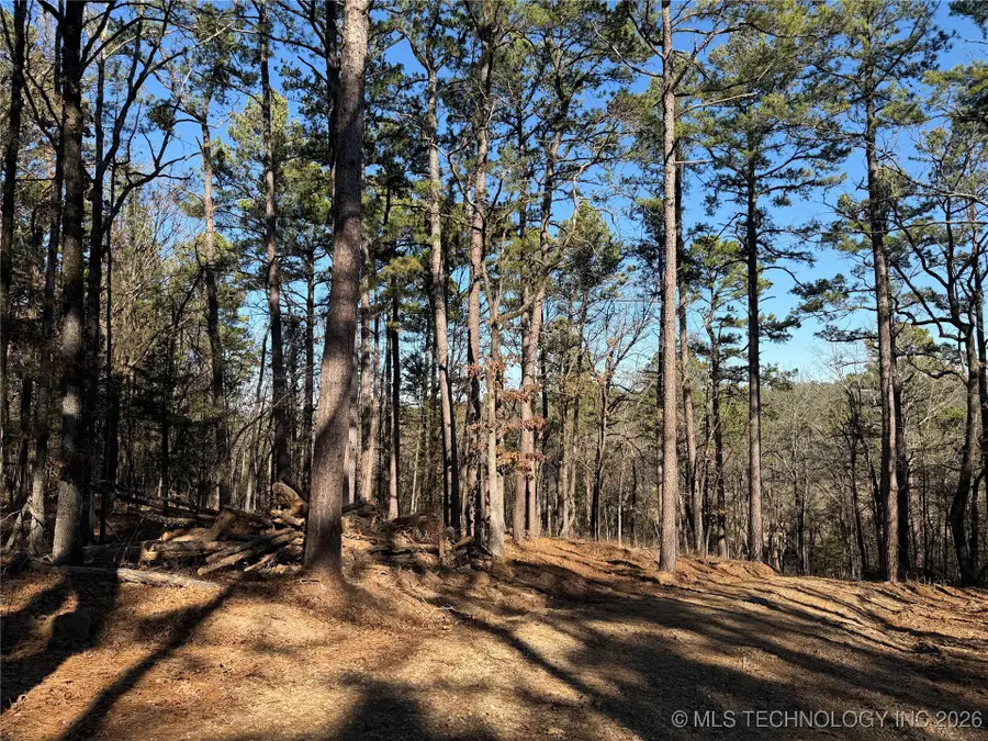 4 Goats Bluff Road, Wister, OK 74966 - Image #3