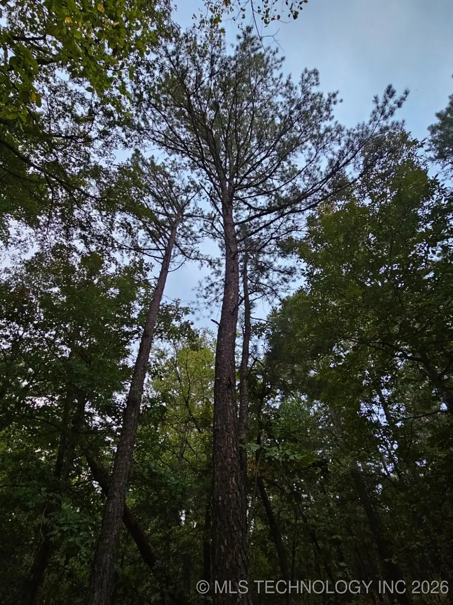 S 600 Road, Stilwell, OK 74960 - #2