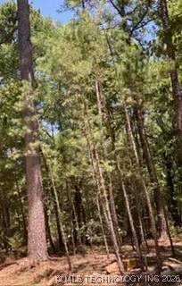 Whispering Pine, Antlers, OK 74523