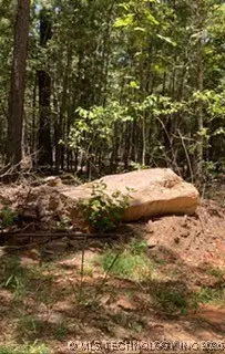 Whispering Pine, Antlers, OK 74523 - Image #2