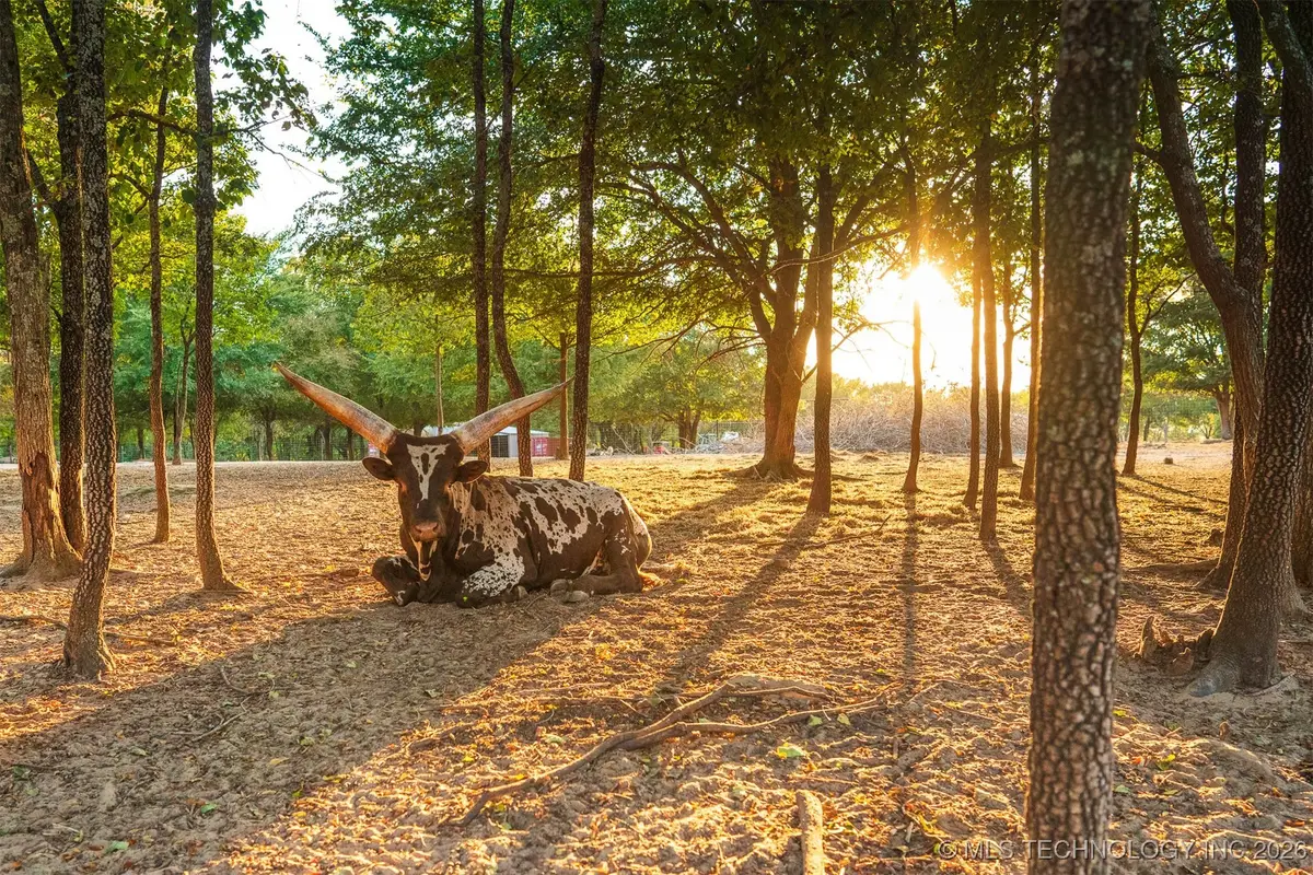 106082 N 3810 Street, Okemah, OK 74859 - Image #1