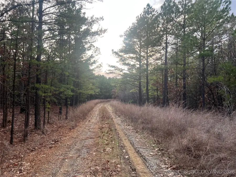 6105 SE 1095 Avenue, Panola, OK 74559 - #3