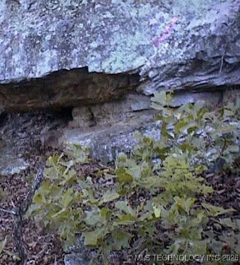 4055 Road, Checotah, OK 74426 - Image #3