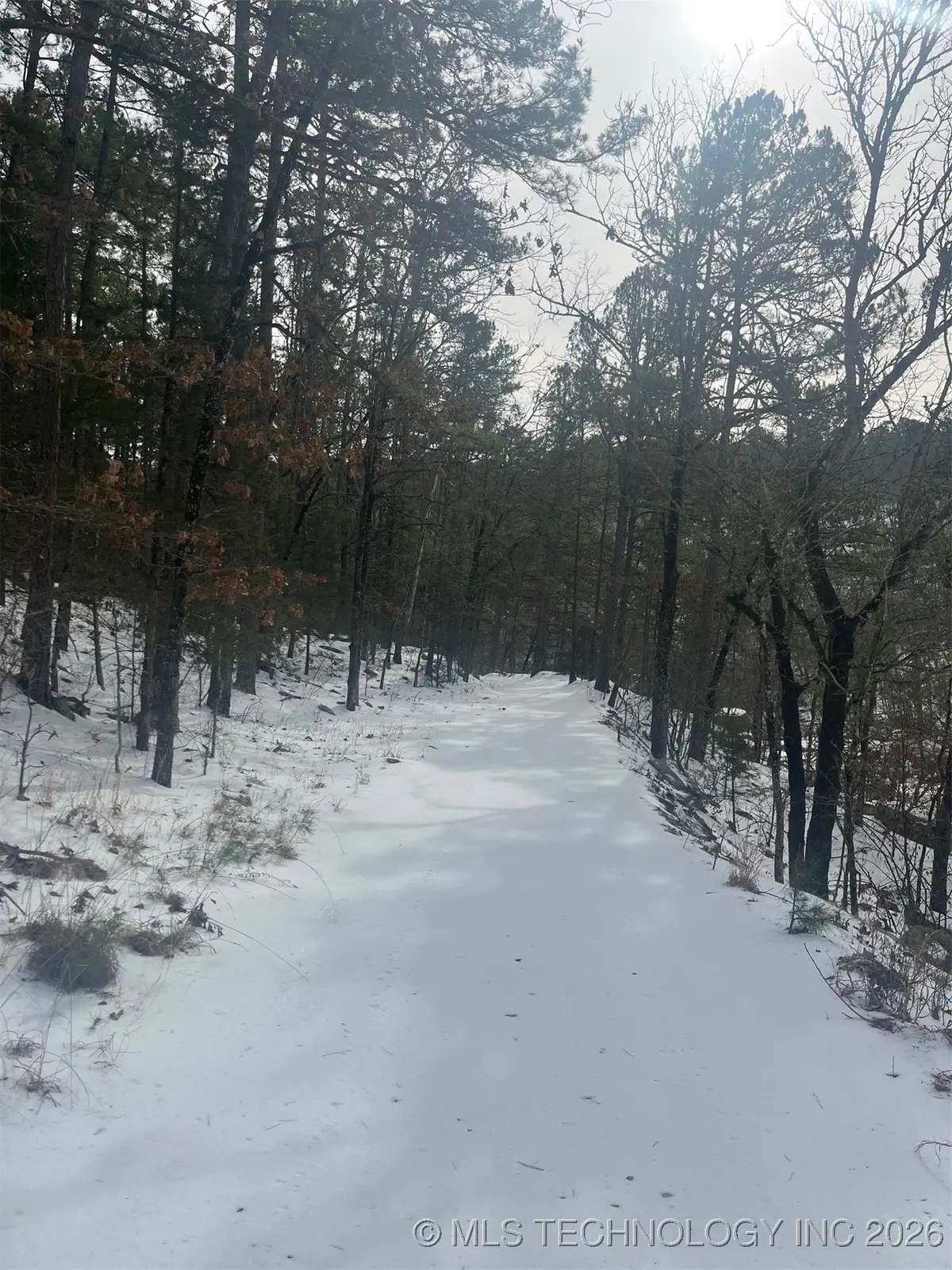 34 Tram Trail, Moyers, OK 74557 - Image #1