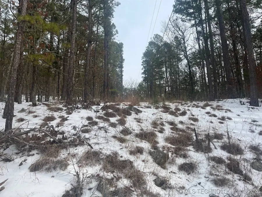 34 Tram Trail, Moyers, OK 74557 - Image #2