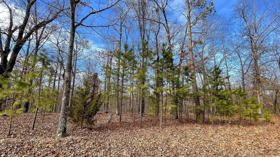 2145 Deer Lake Drive, Kansas, OK 74347 - Image #2