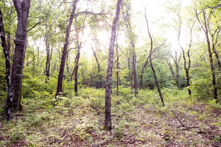 E 81st Street N, Fort Gibson, OK 74434 - Image #3