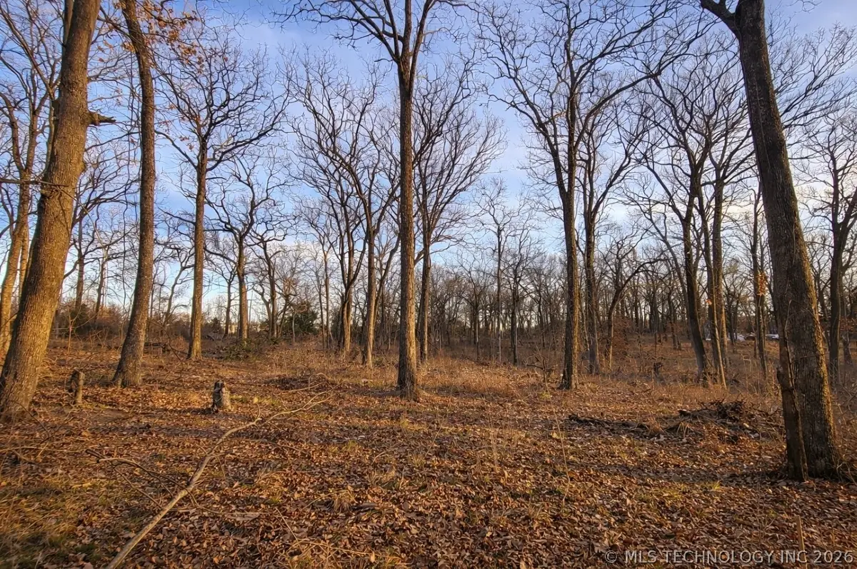 4879 Cobb Road, Kingston, OK 73439 - #1