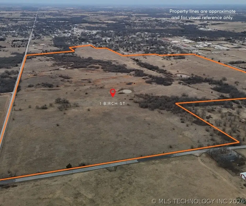 1 Birch, Wilson, OK 73463 - #1