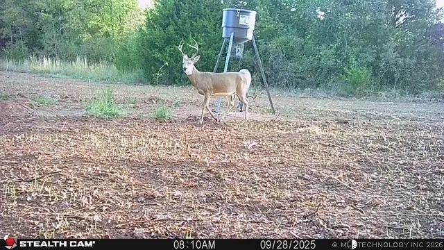 001 E County Road 1650, Fitzhugh, OK 74843 - #3