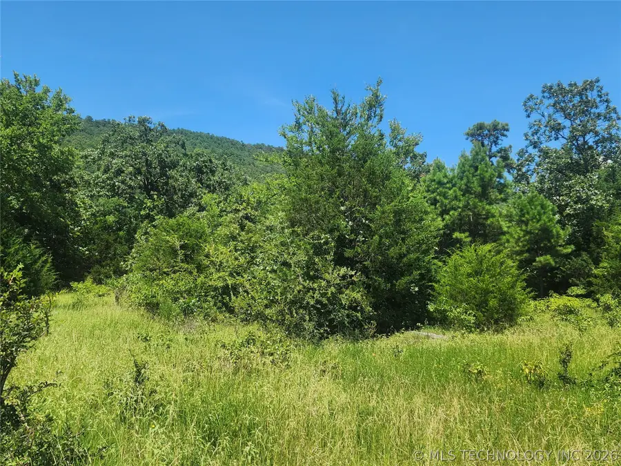 SE State Highway 63, Talihina, OK 74571 - #3