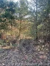 Goff Circle, Dyer, Ar 72921 - #3