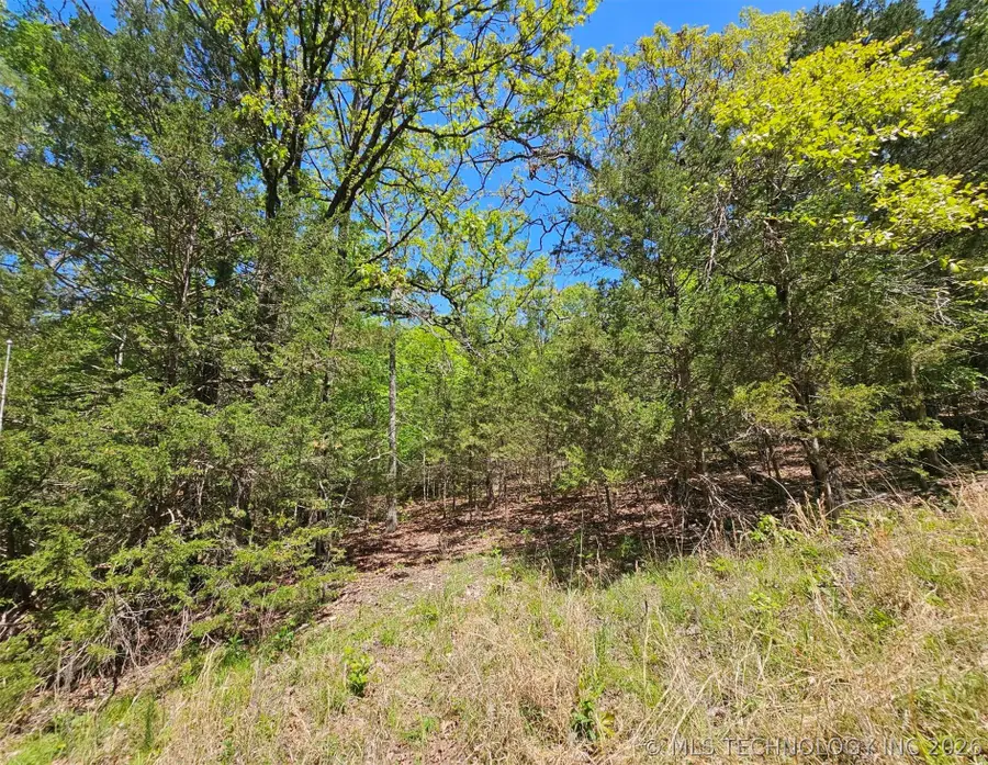 000 N 566 Road, Proctor, OK 74457 - #3