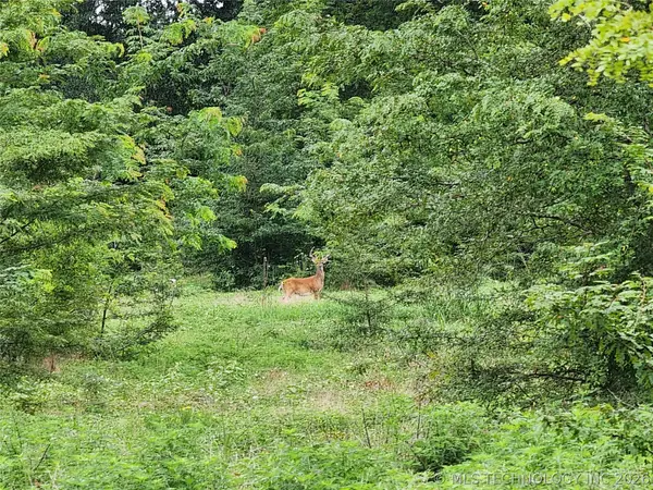 State Highway 63, Talihina, OK 74571