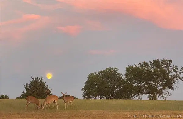 8550 County Road 1570, Ada, OK 74820