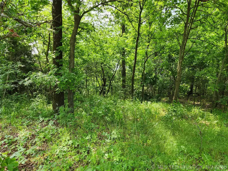 S 043 Road, Locust Grove, OK 74352 - #2