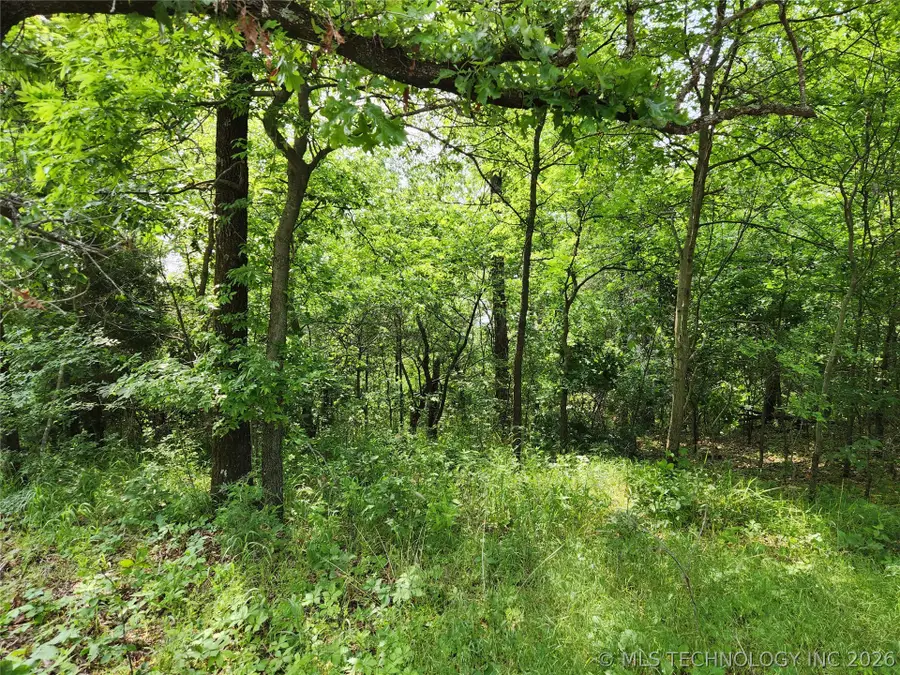 S 043 Road, Locust Grove, OK 74352 - #3