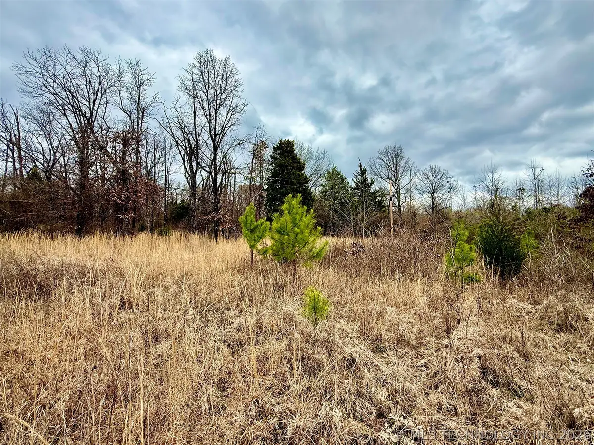 510023845 S 163rd Street S, Webbers Falls, OK 74470 - #1